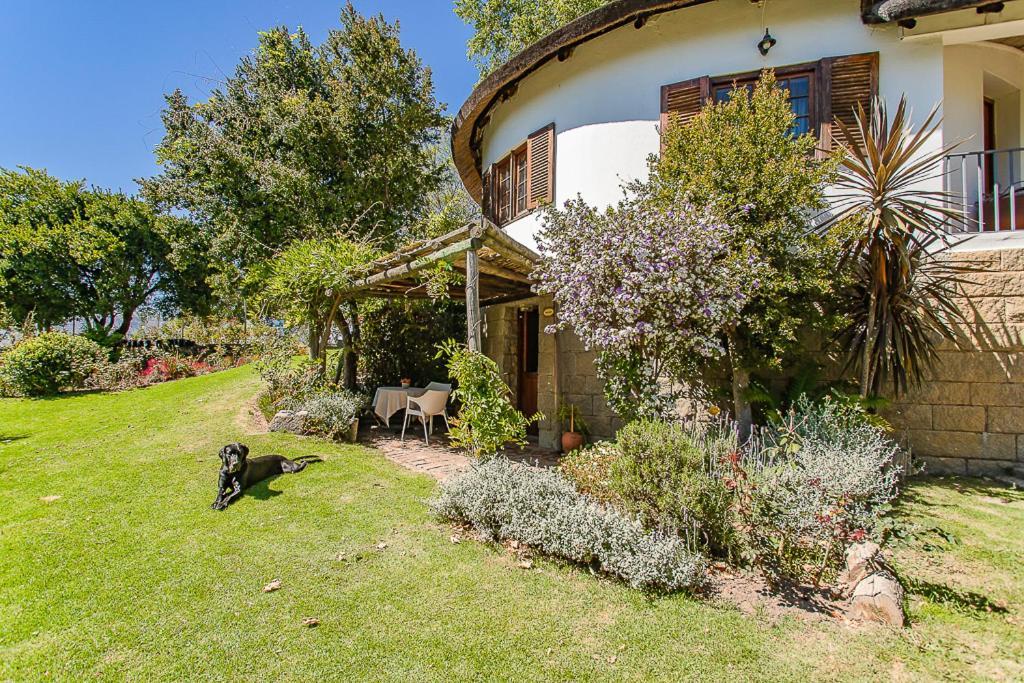 Picardie Guest Farm พาร์ล ภายนอก รูปภาพ